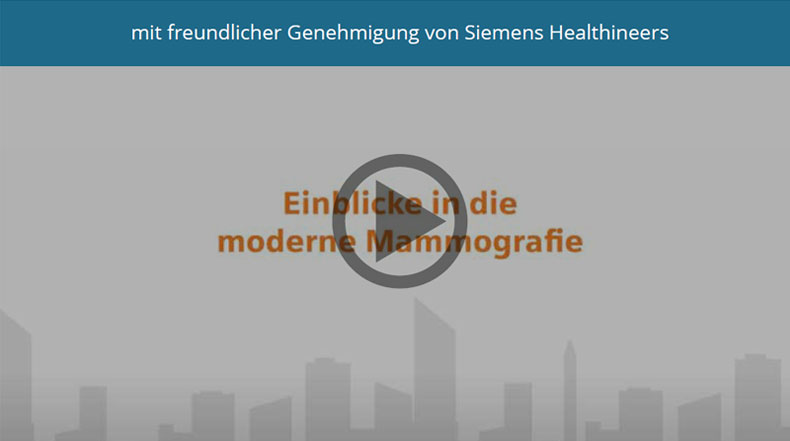 zum Video
