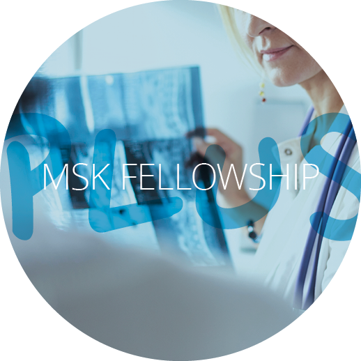 MSK Fellowship